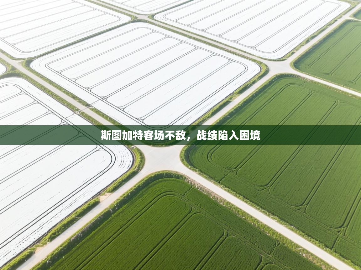 海星体育直播-斯图加特客场不敌，战绩陷入困境  第4张