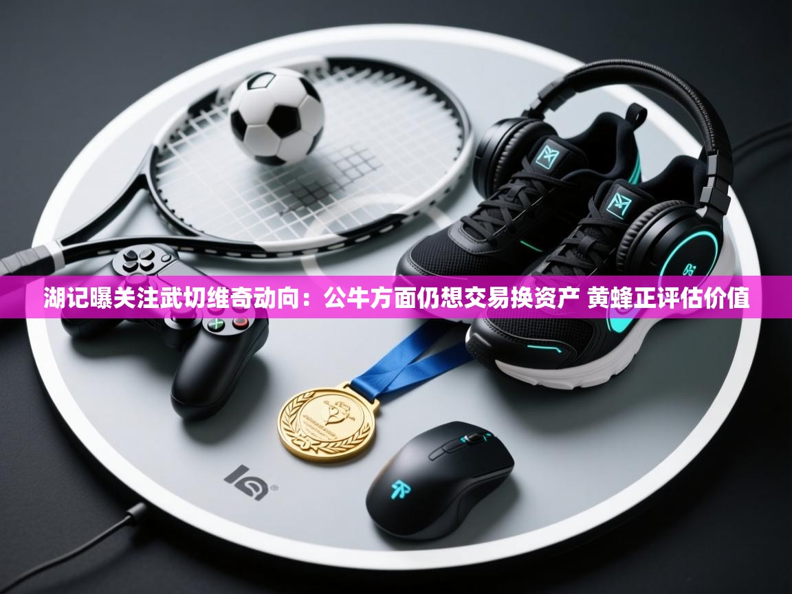 海星体育官网-湖记曝关注武切维奇动向:公牛方面仍想交易换资产 黄蜂正评估价值 第2张