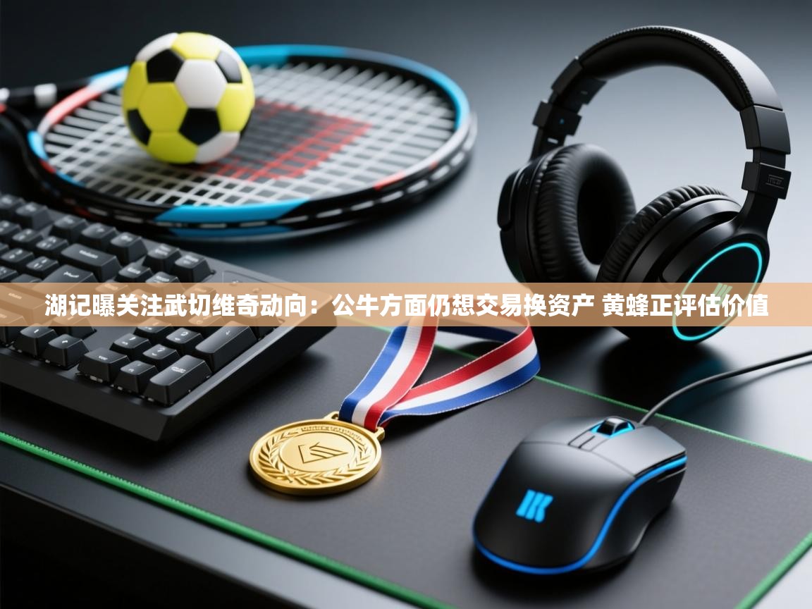 海星体育官网-湖记曝关注武切维奇动向:公牛方面仍想交易换资产 黄蜂正评估价值 第4张