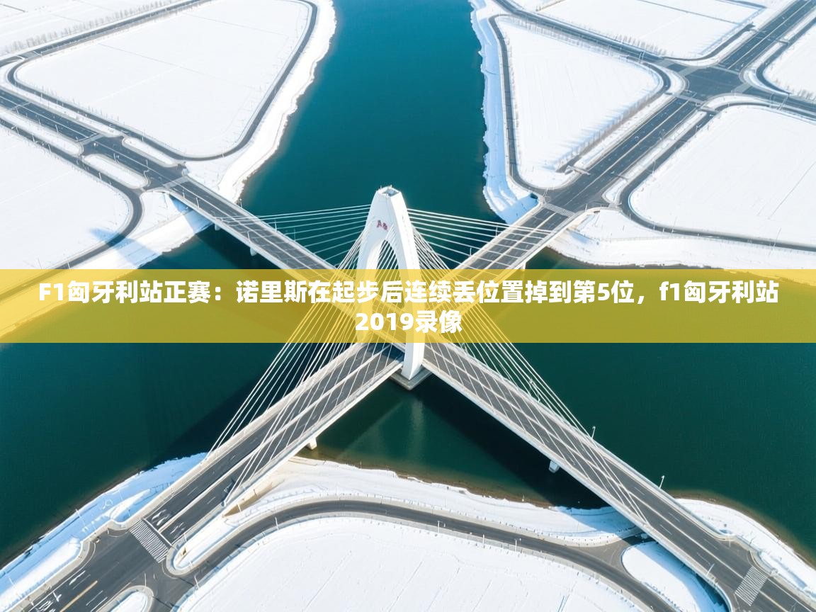 海星体育直播-F1匈牙利站正赛：诺里斯在起步后连续丢位置掉到第5位，f1匈牙利站2019录像