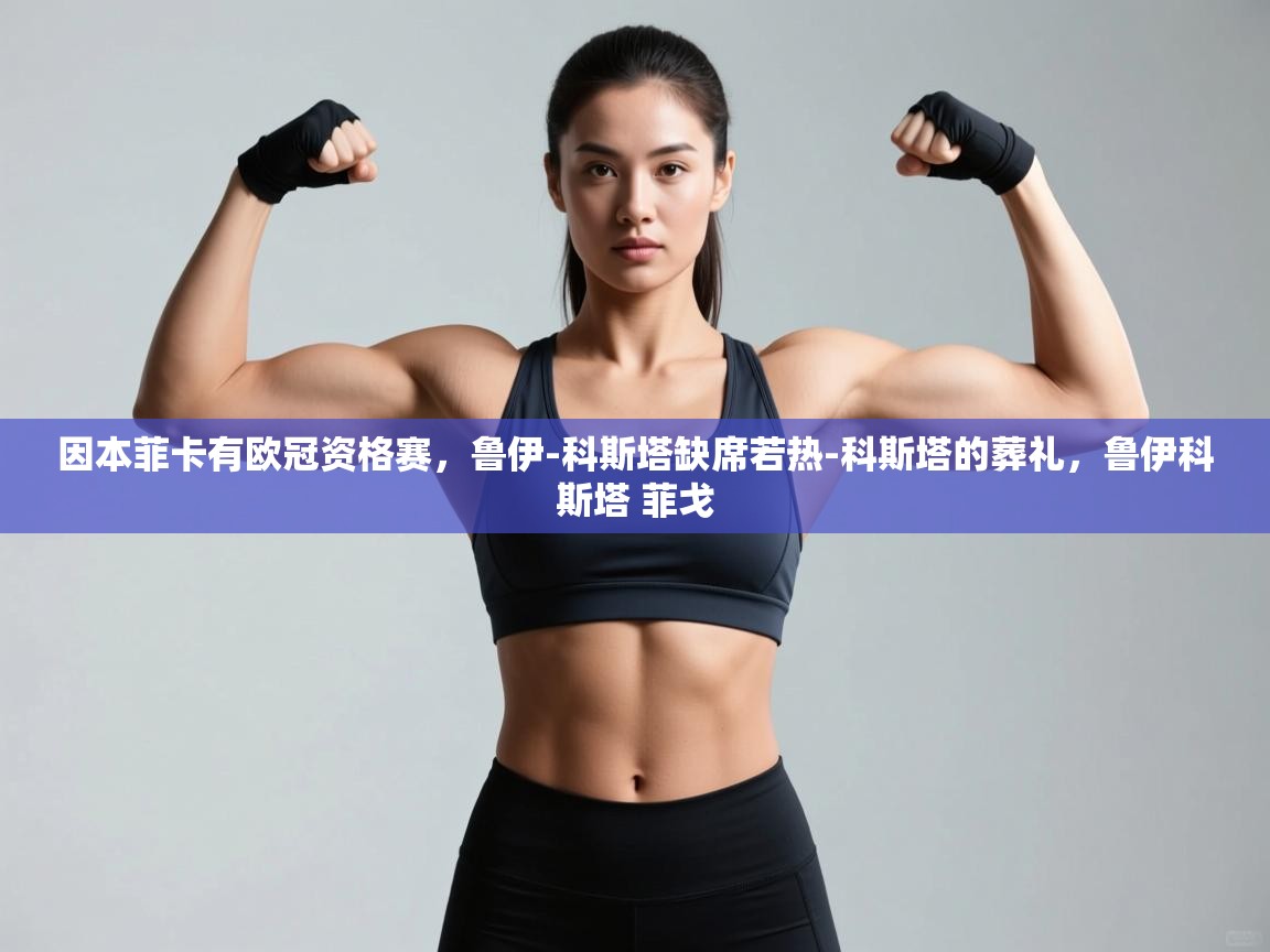 海星体育官网首页-因本菲卡有欧冠资格赛，鲁伊-科斯塔缺席若热-科斯塔的葬礼，鲁伊科斯塔 菲戈  第3张