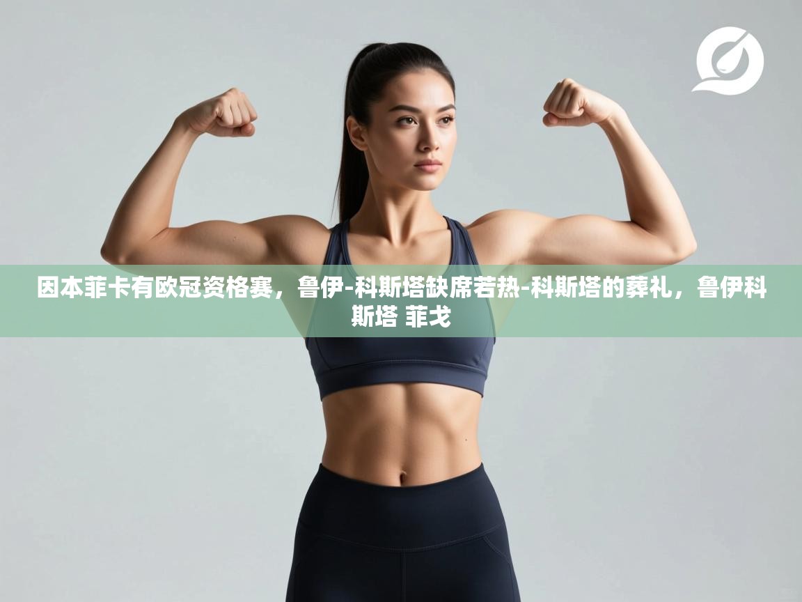 海星体育官网首页-因本菲卡有欧冠资格赛，鲁伊-科斯塔缺席若热-科斯塔的葬礼，鲁伊科斯塔 菲戈  第2张