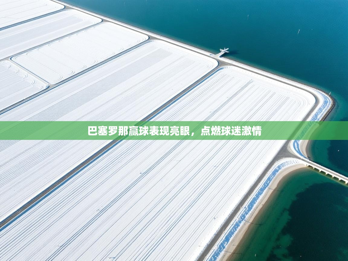 海星体育官方下载-巴塞罗那赢球表现亮眼,点燃球迷激情 第1张