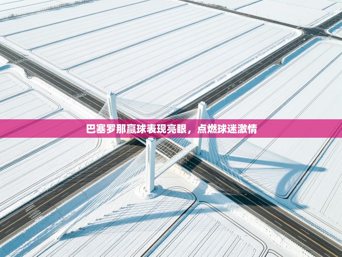 海星体育官方下载-巴塞罗那赢球表现亮眼,点燃球迷激情 第2张