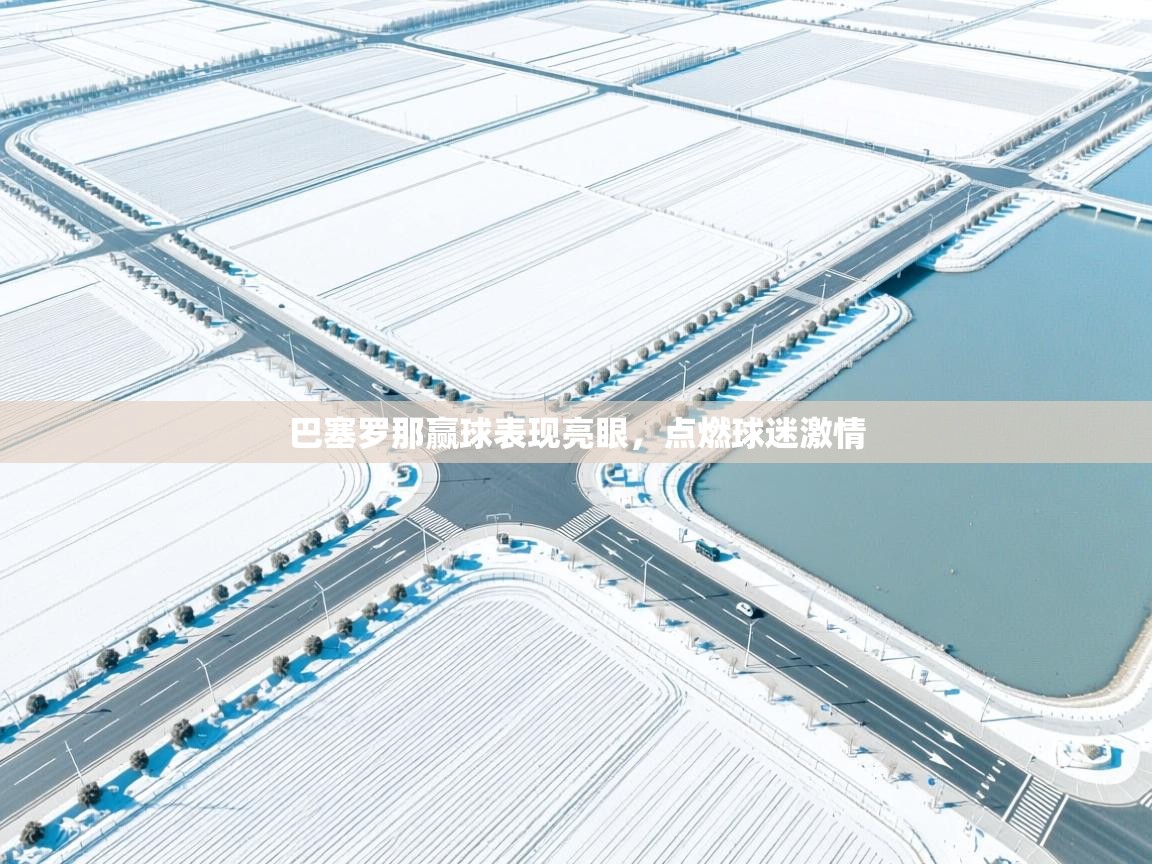 海星体育官方下载-巴塞罗那赢球表现亮眼,点燃球迷激情 第3张