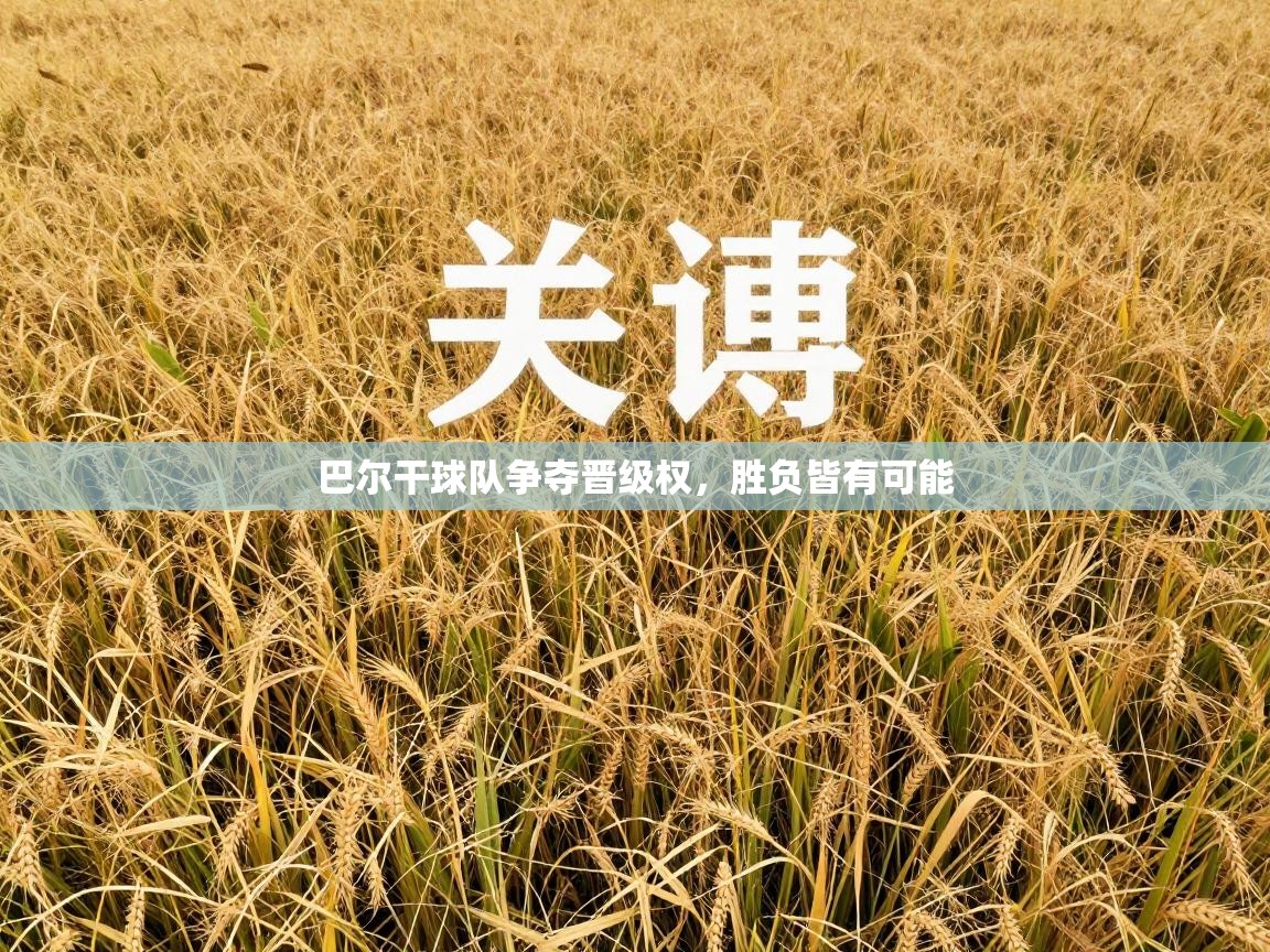 海星体育app官方入口-巴尔干球队争夺晋级权，胜负皆有可能  第2张