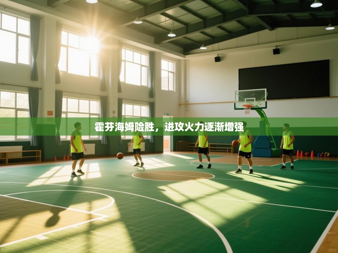 海星体育官方下载-霍芬海姆险胜，进攻火力逐渐增强