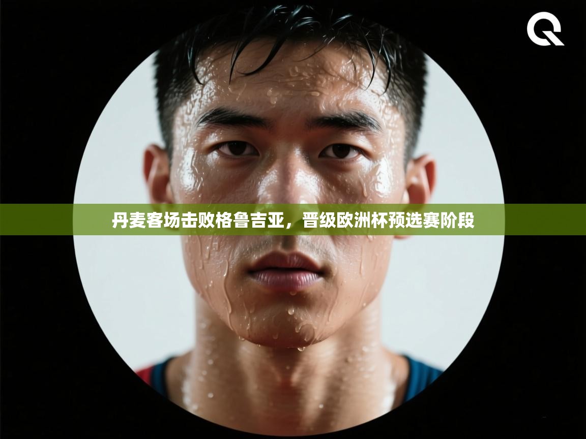 海星体育在线观看-丹麦客场击败格鲁吉亚，晋级欧洲杯预选赛阶段  第2张