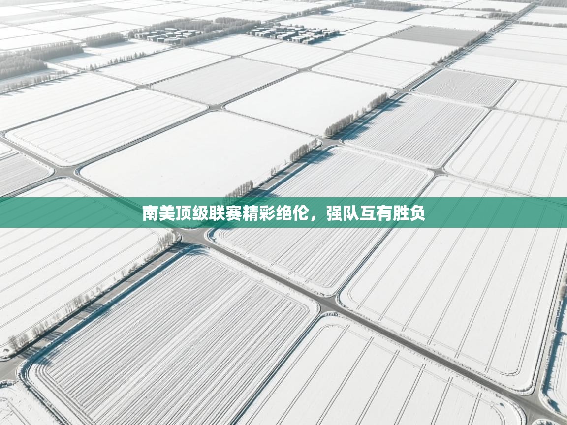 海星体育在线-南美顶级联赛精彩绝伦,强队互有胜负 第2张