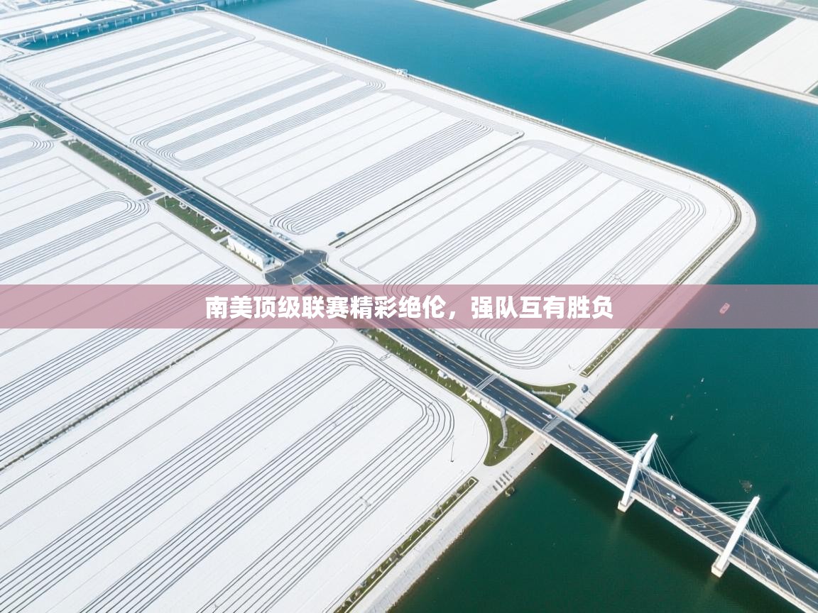 海星体育在线-南美顶级联赛精彩绝伦,强队互有胜负 第4张