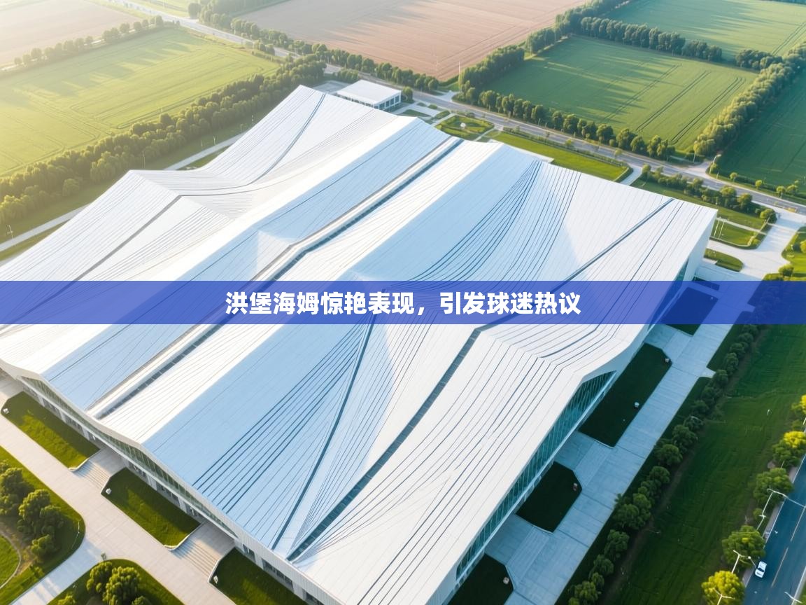 海星体育官网入口-洪堡海姆惊艳表现，引发球迷热议